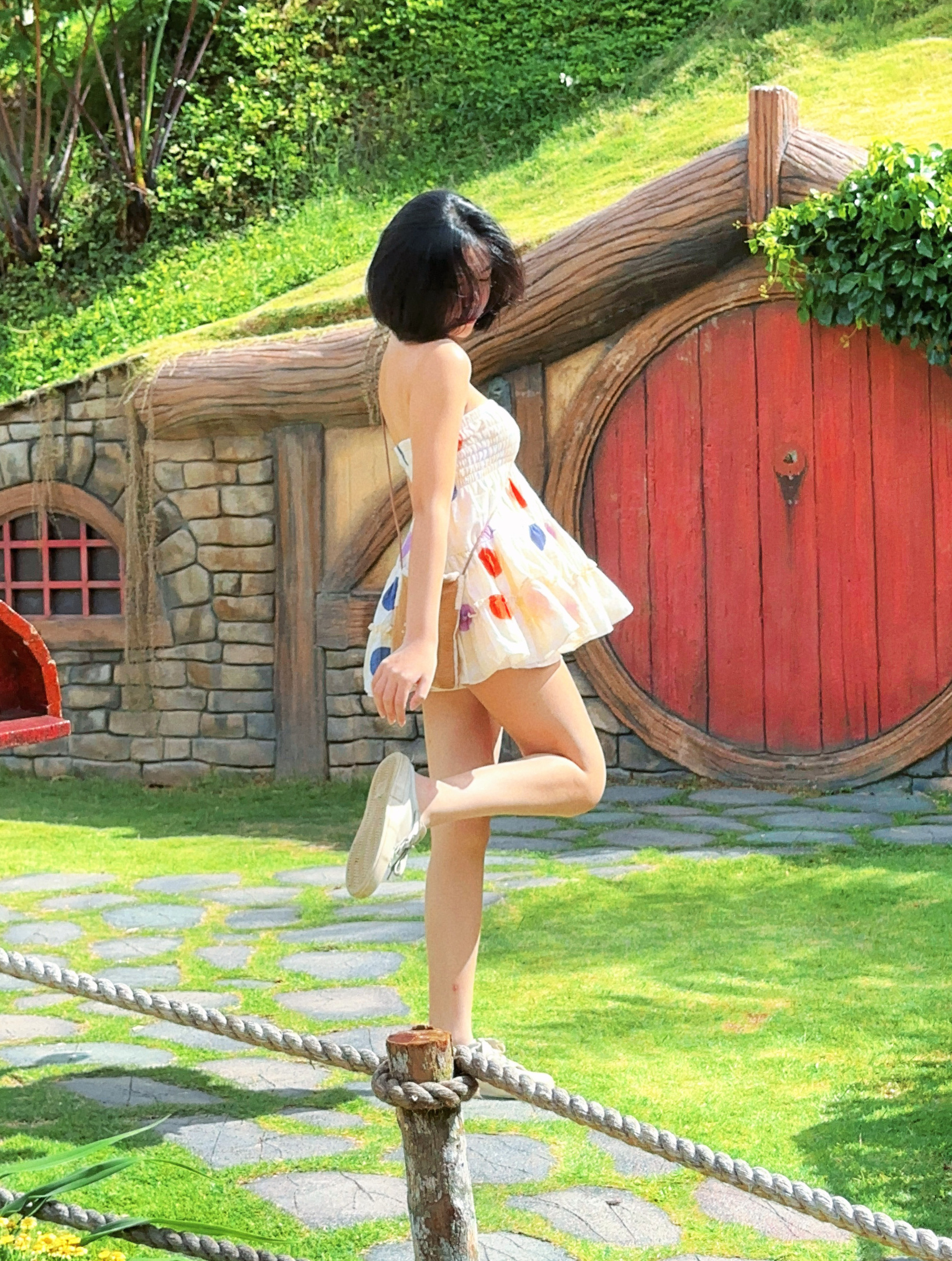 Himawari-website-colourdots-4