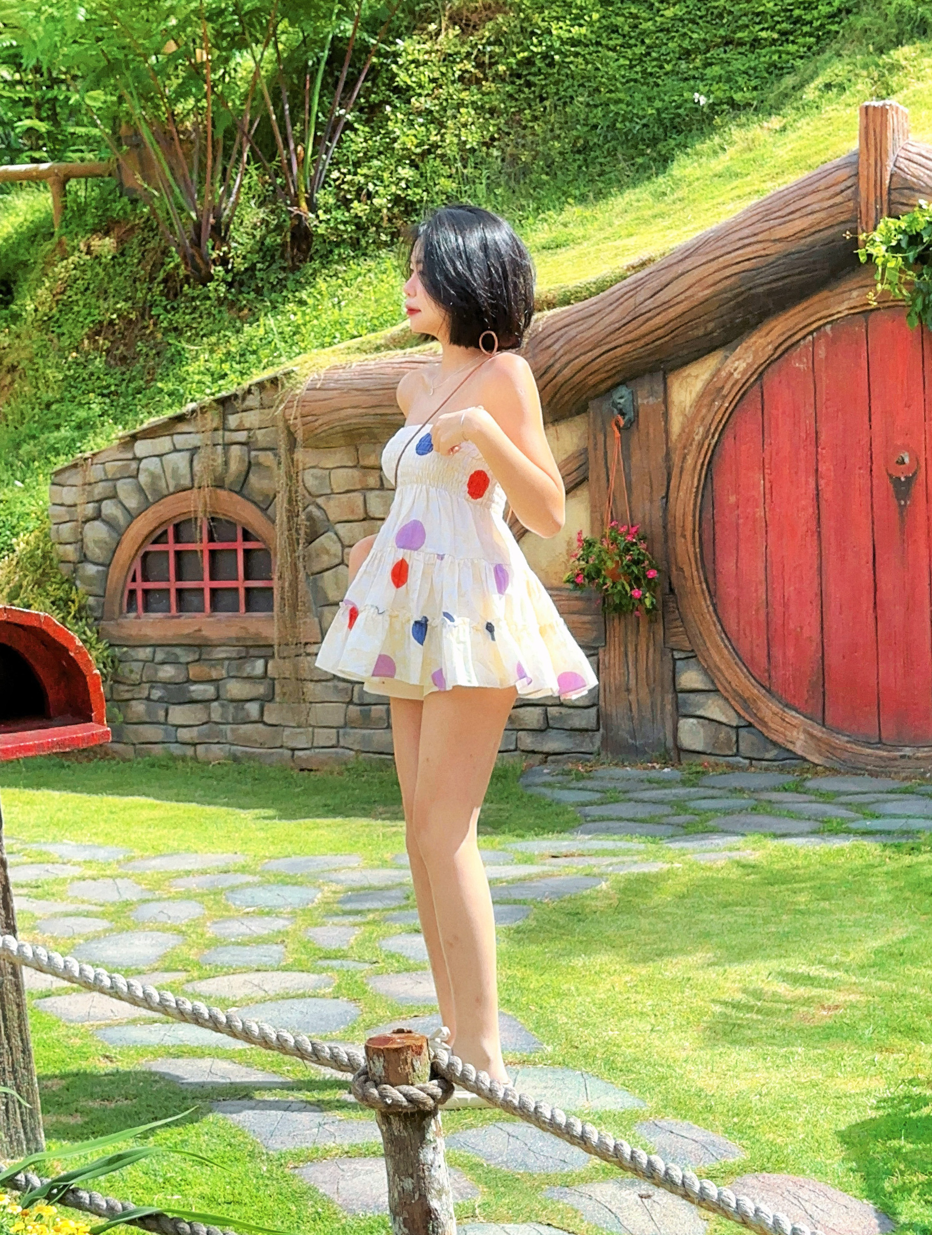 Himawari-website-colourdots-5