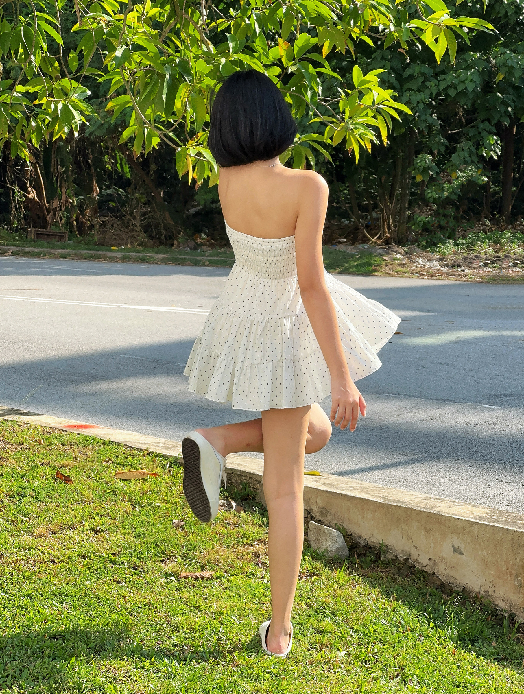 Himawari-website-whitedots-4