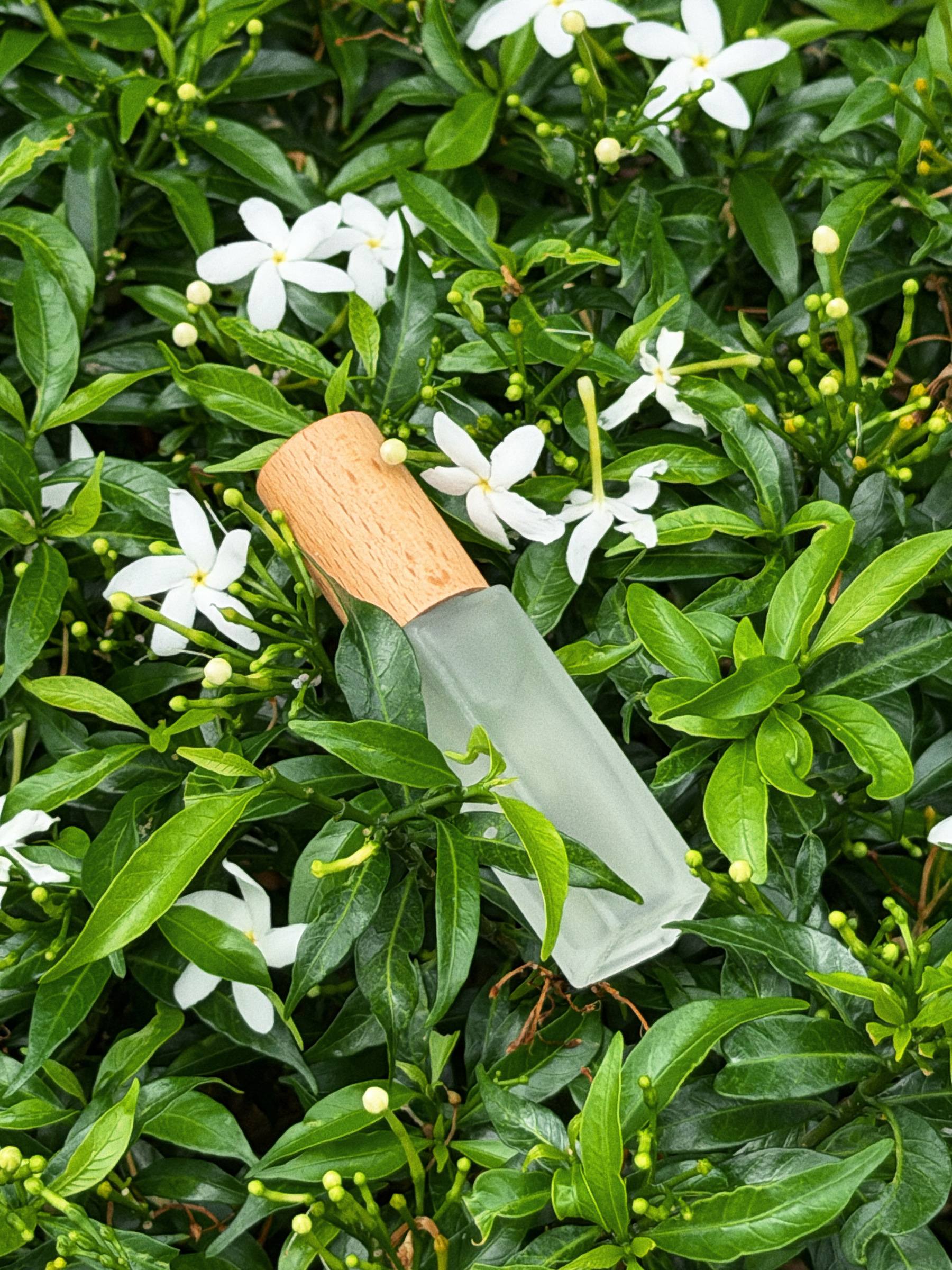 image_D0B59786-0794-4042-83A9-024C7A30E286_1770378853