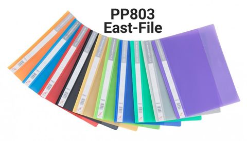 P803A-PP-Management-File-1-1030x591