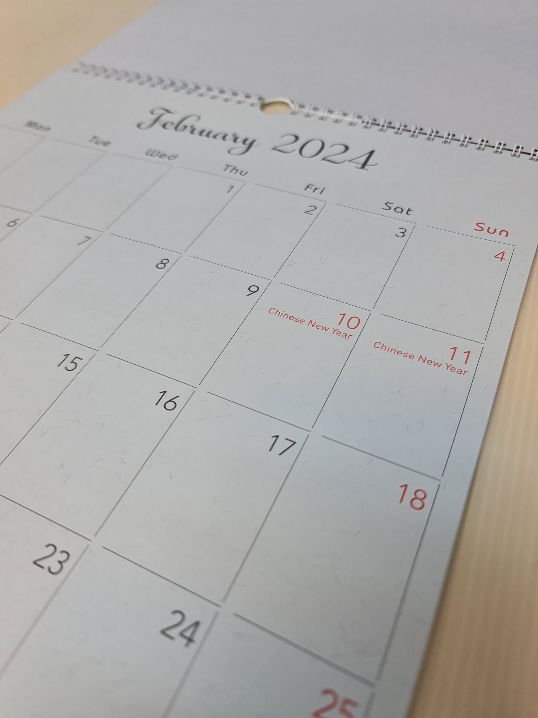 3 Months Wall Calendar 2025 Hand Tear Calender large 12 sheets Wire O Bind