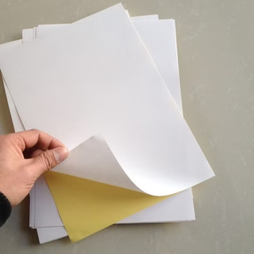 my-11134207-7r98u-lxsehnjhwy96b5