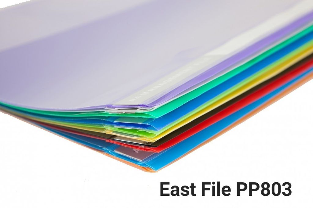 P803A-PP-Management-File-3-1030x687