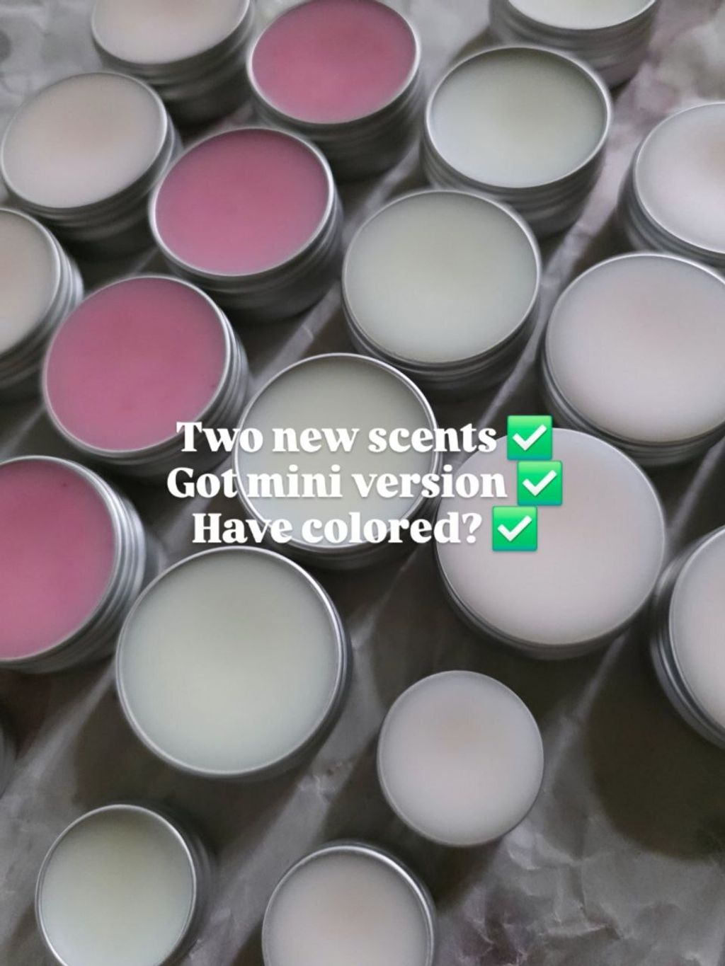 photo_2026-02-20_17-38-18 (4)