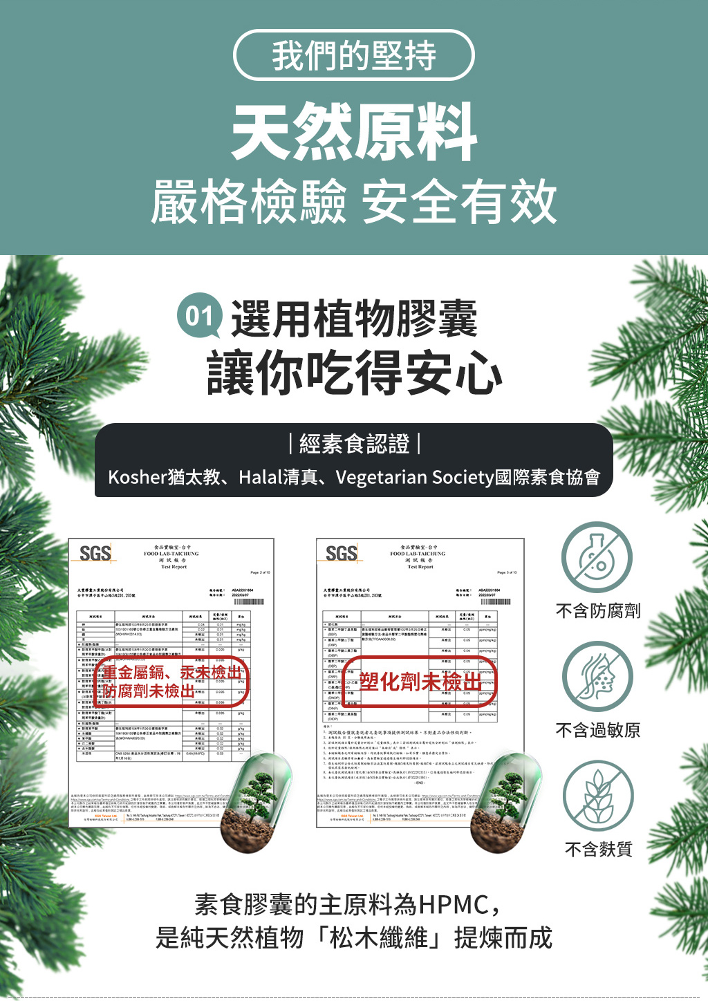淨公主 商品介紹 9