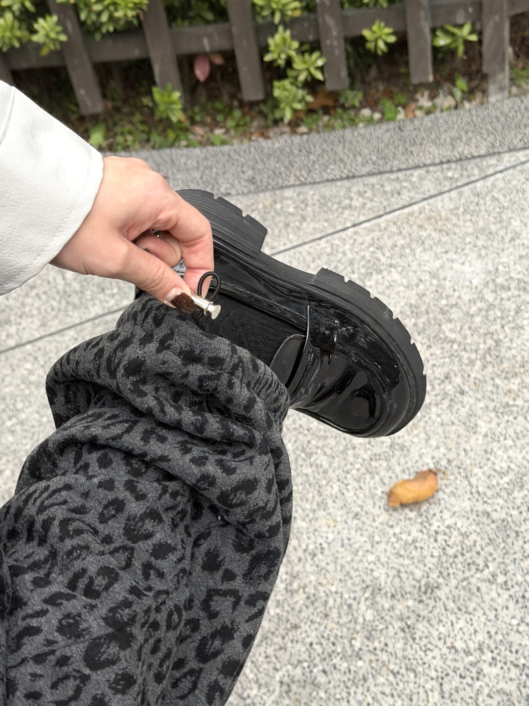 image_26DF5B32-05EC-41F5-8006-093CB4CE9BBC_1771058511