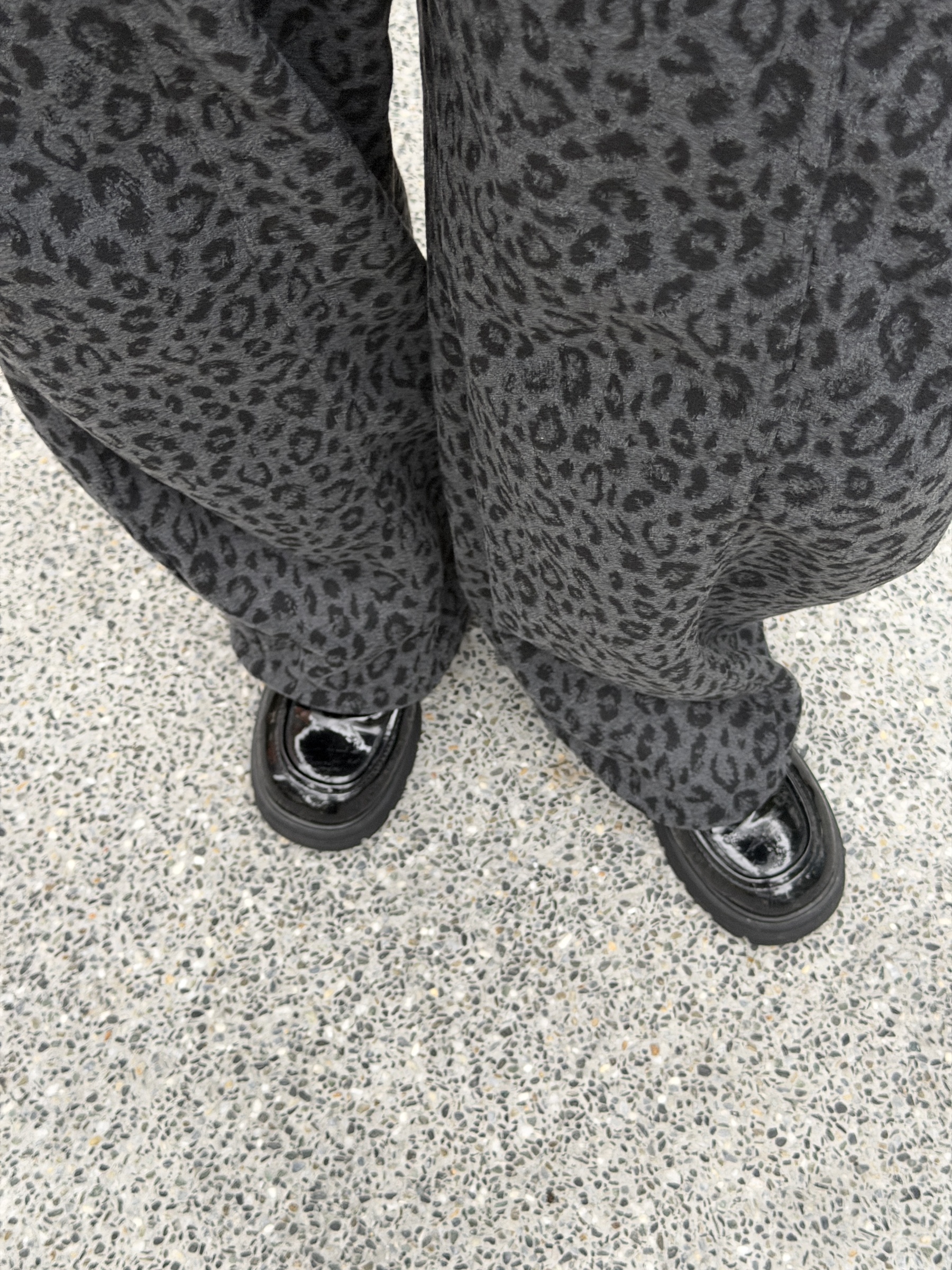 image_483AB1A5-29E5-40E0-9D4B-9DA619FA5E16_1771059008