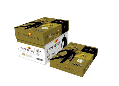 PAPER LIN A4 70P