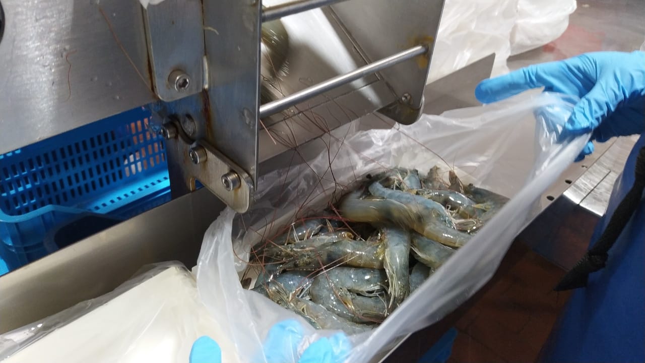 262780596_144957571210685_6408206153131853504_n