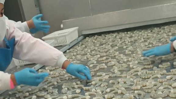 315560917_217772200595888_2606400825670463340_n2