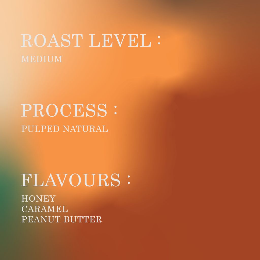 IG POST-CERRADO_POST3