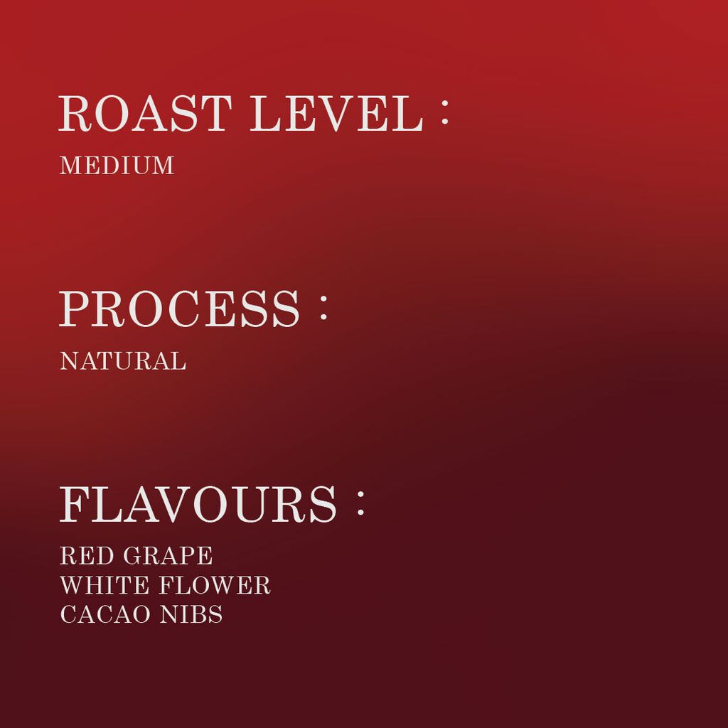 POST-BUKU SAYISA NATURAL_POST3