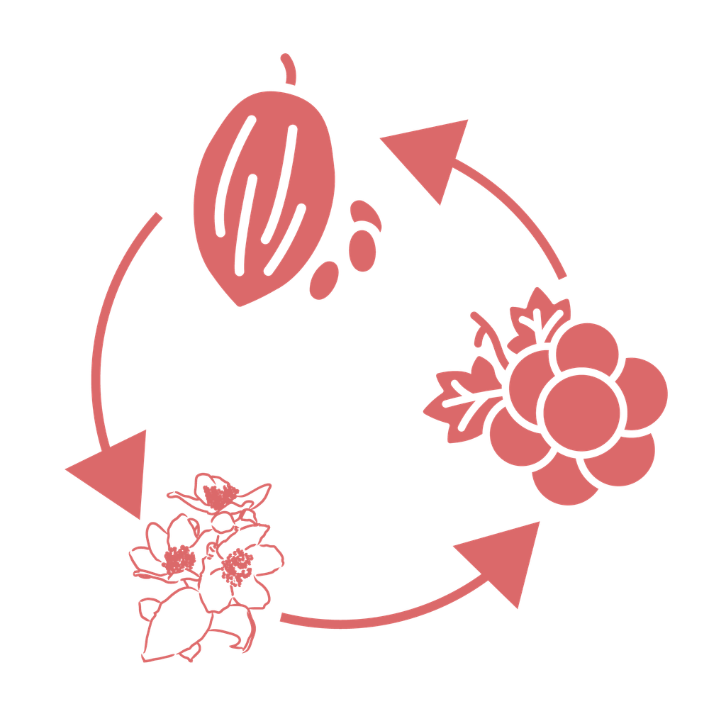 00. ETHIOPIA BUKU SAYISA - 02