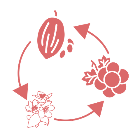 00. ETHIOPIA BUKU SAYISA - 02