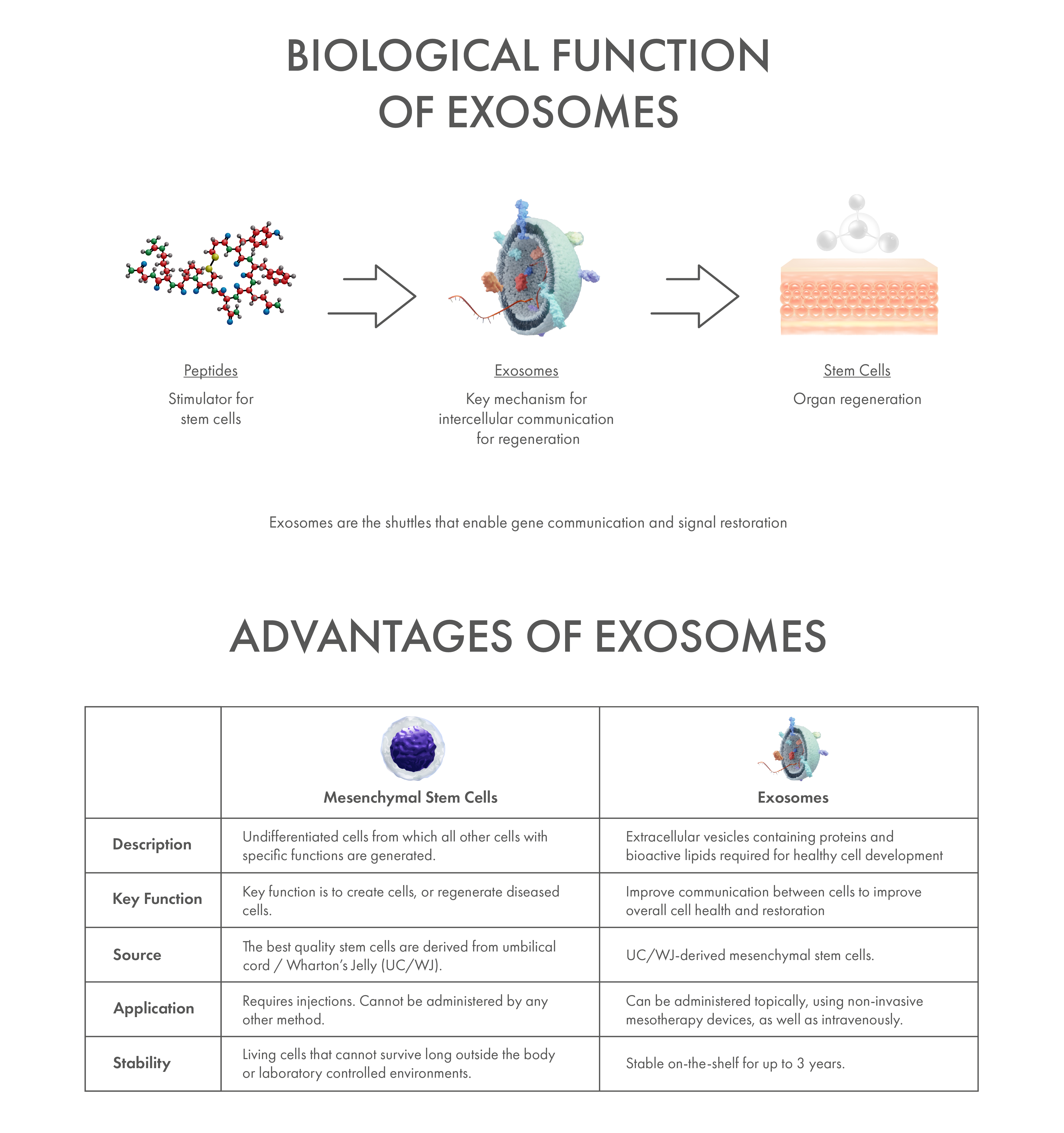 Website exosome