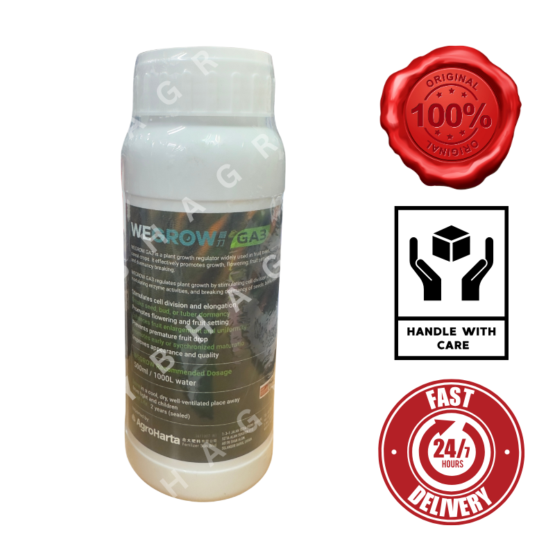 wegrow ga3 back