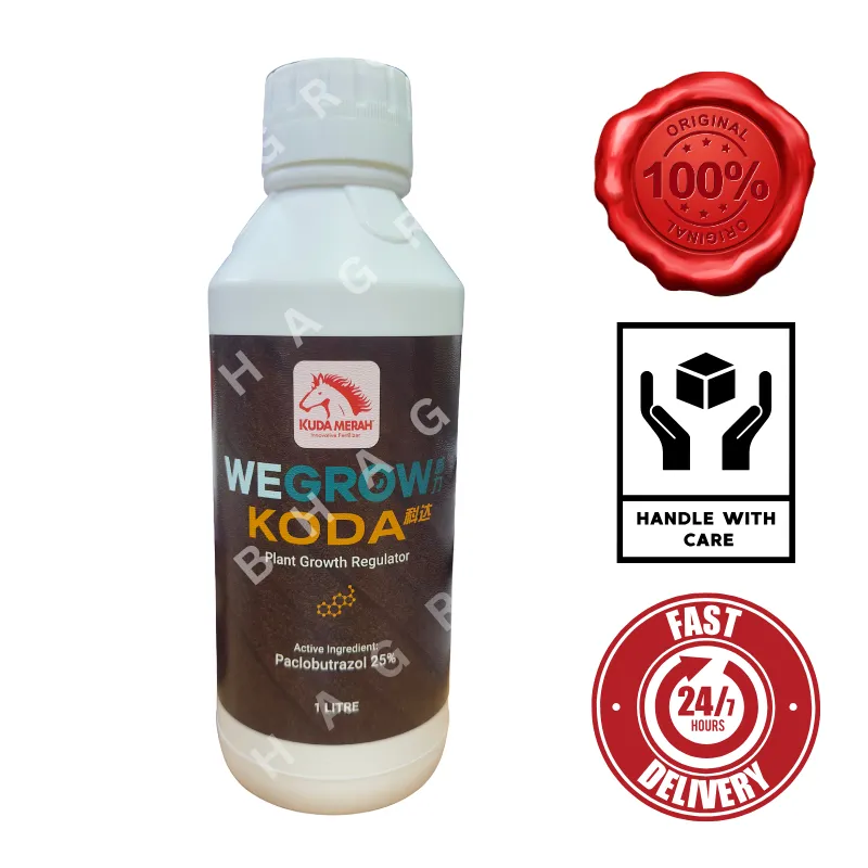 wegrow koda