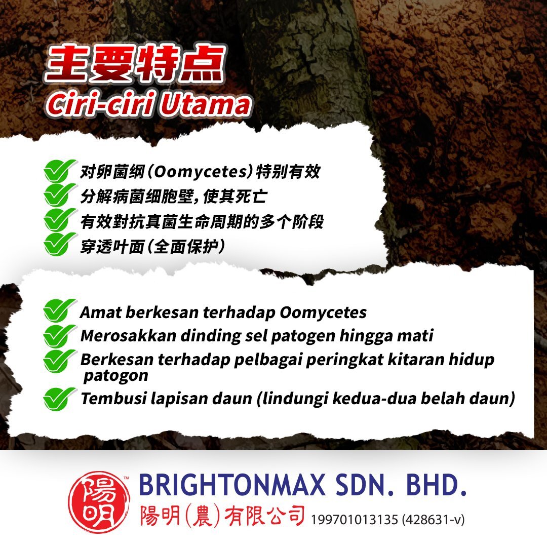 515438891_1173695364771476_6698848317782951076_n