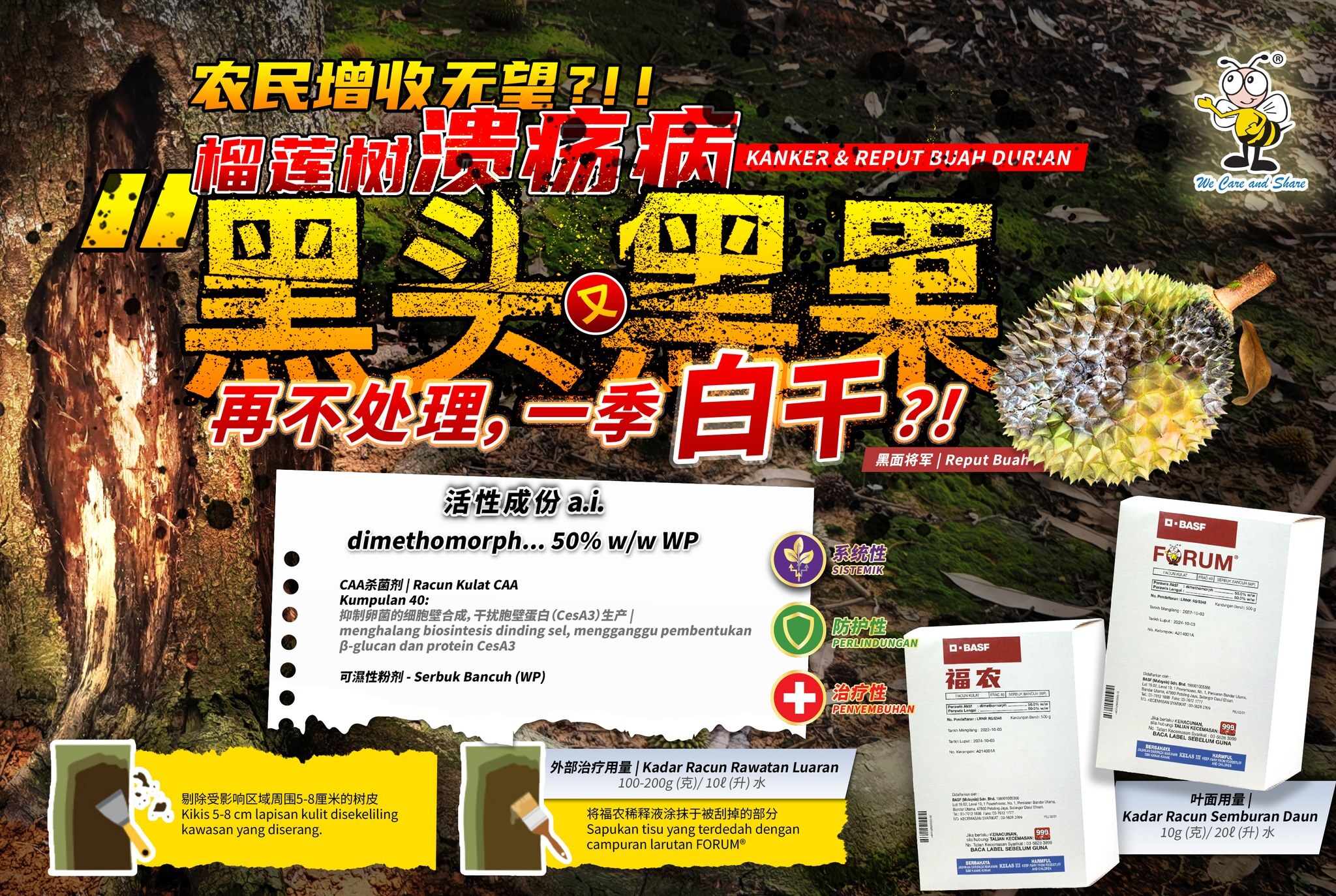 515436749_1173695411438138_9094465258034685133_n