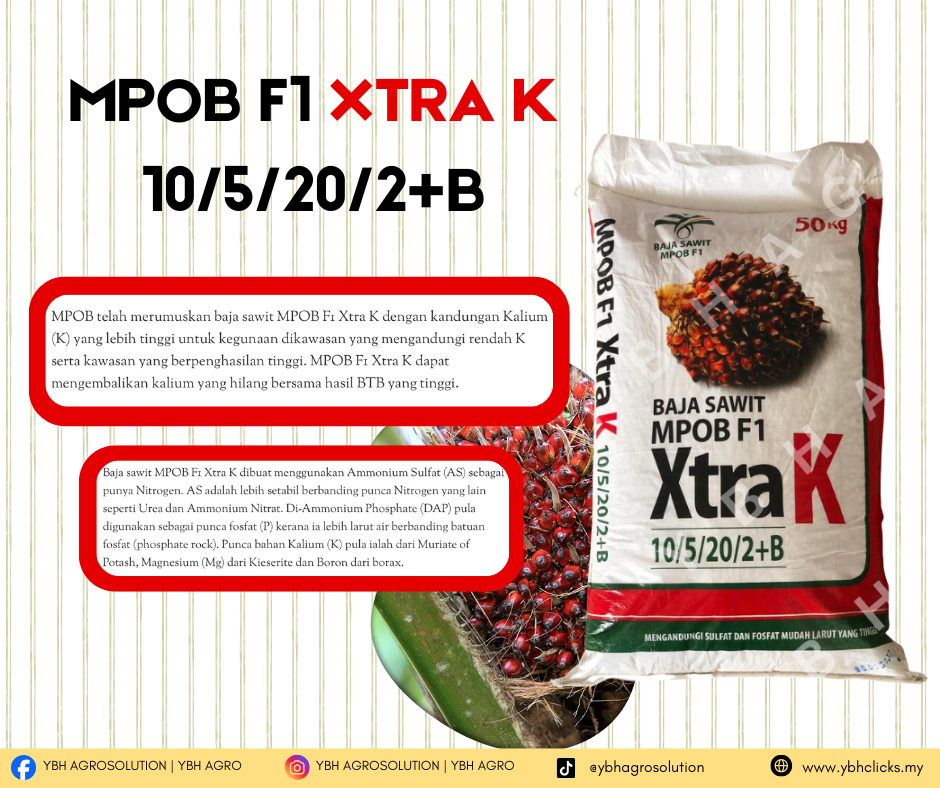 MPOB F1 XTRA K