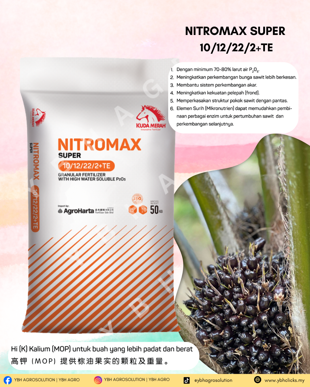 NITROMAX SUPER IG POST