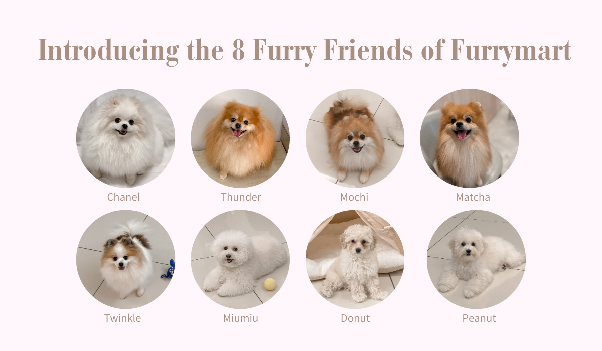 introducing the 8 dogs of Furrymart-4