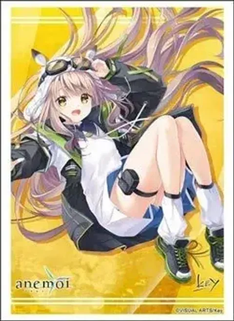 1772595709-BSR-ACC-340055