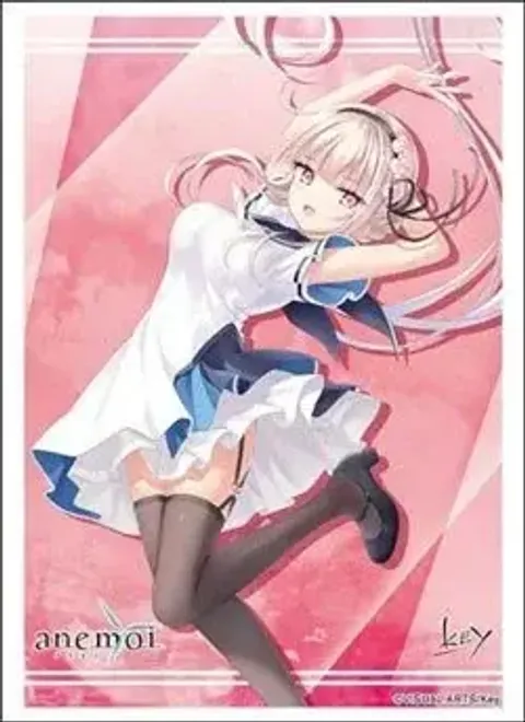 1772595810-BSR-ACC-340062