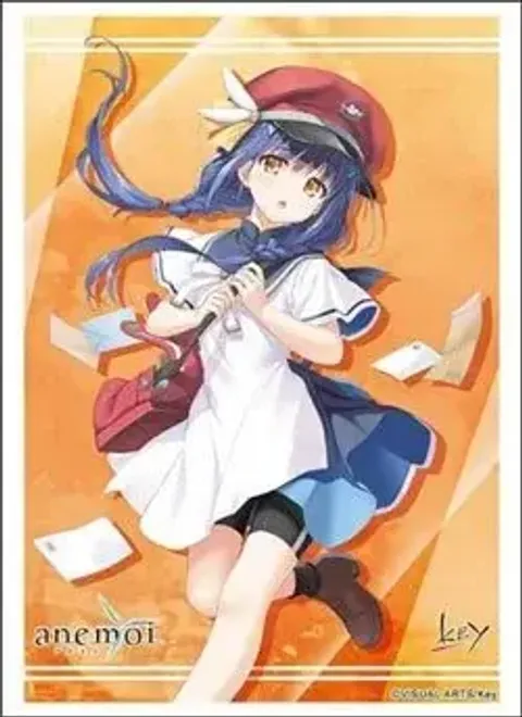 1772598230-BSR-ACC-340079