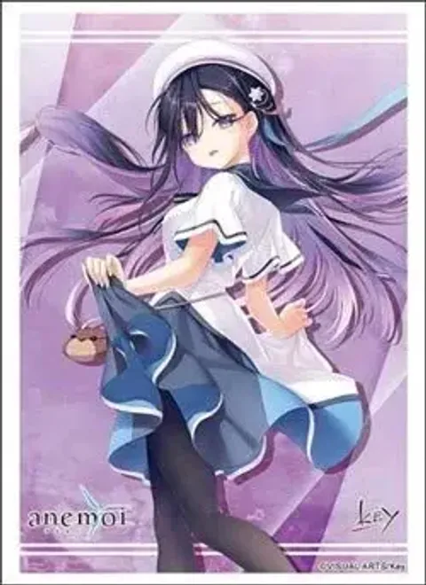 1772598336-BSR-ACC-340086