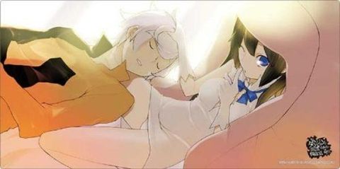 1775465406-BSR-ACC-341748