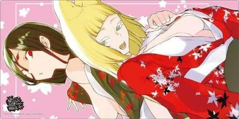 1775465406-BSR-ACC-341755