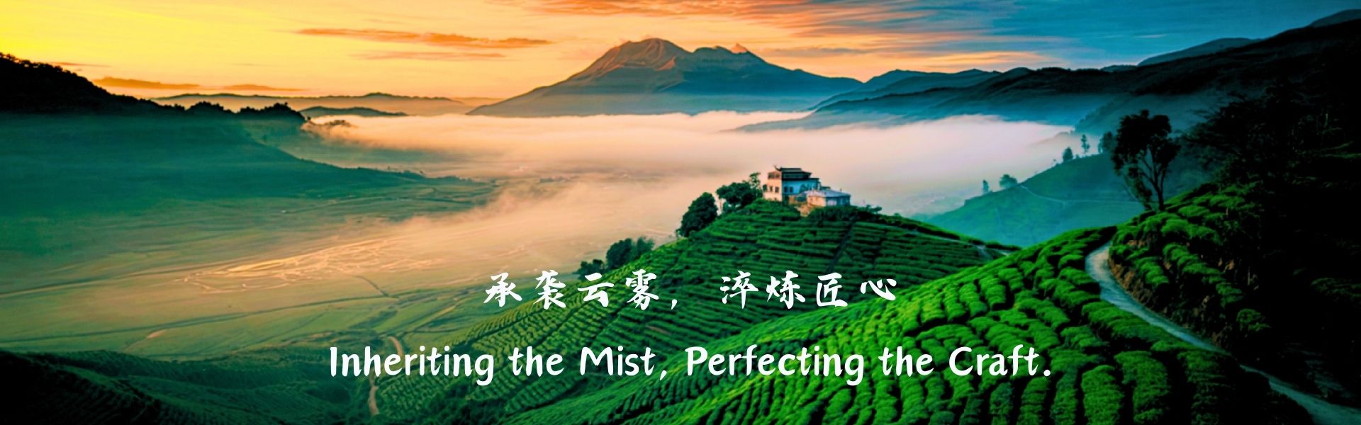 Website banner (2) Website banner (2)