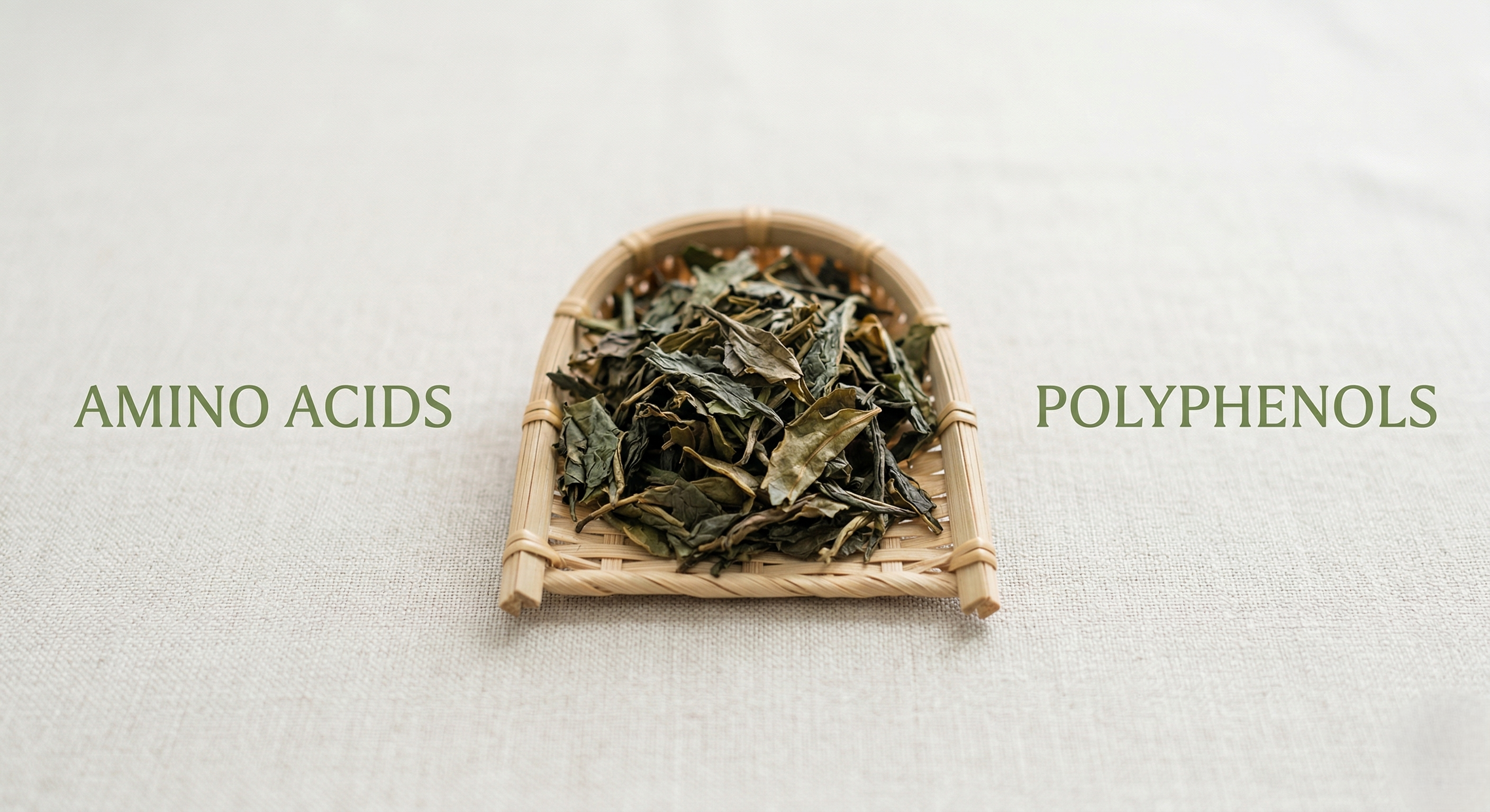 Gemini_Generated_Image_x0o3bjx0o3bjx0o3