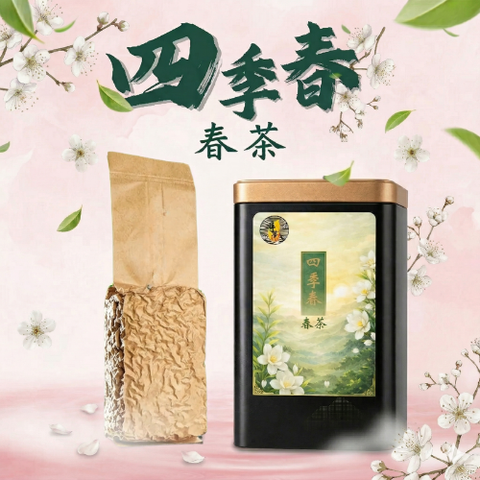 四季春春茶