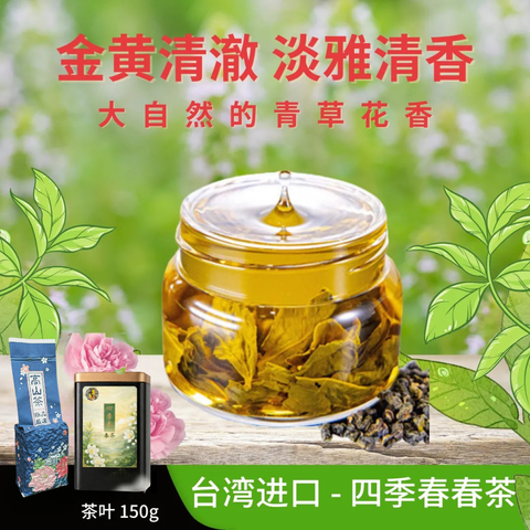 春茶1