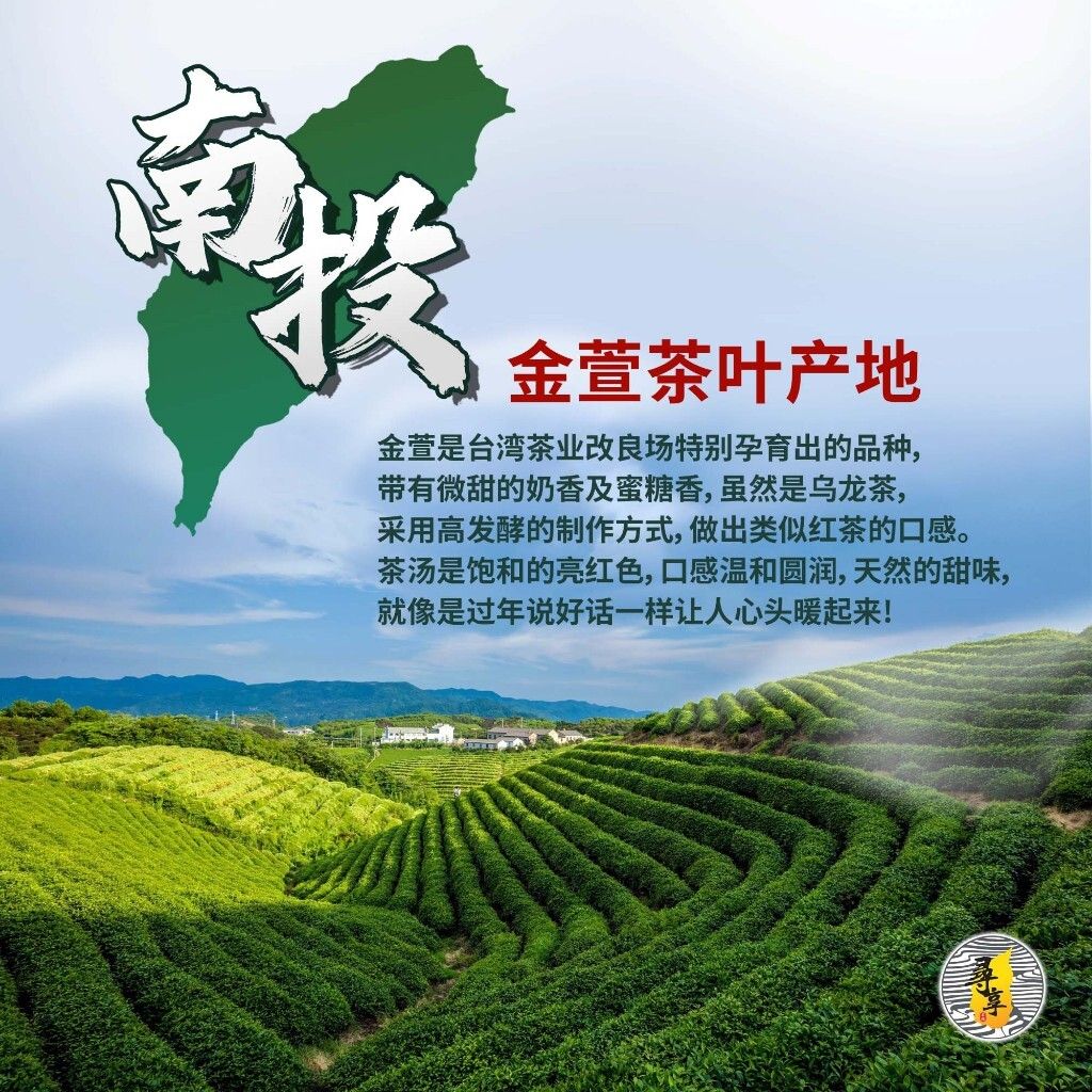 金萱2
