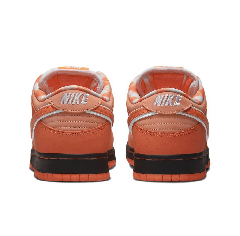 IMG_6830-1696832840709