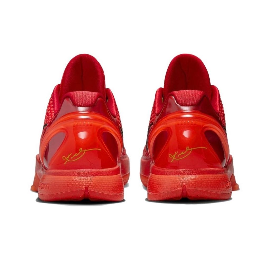 IMG_9674-1702635469444