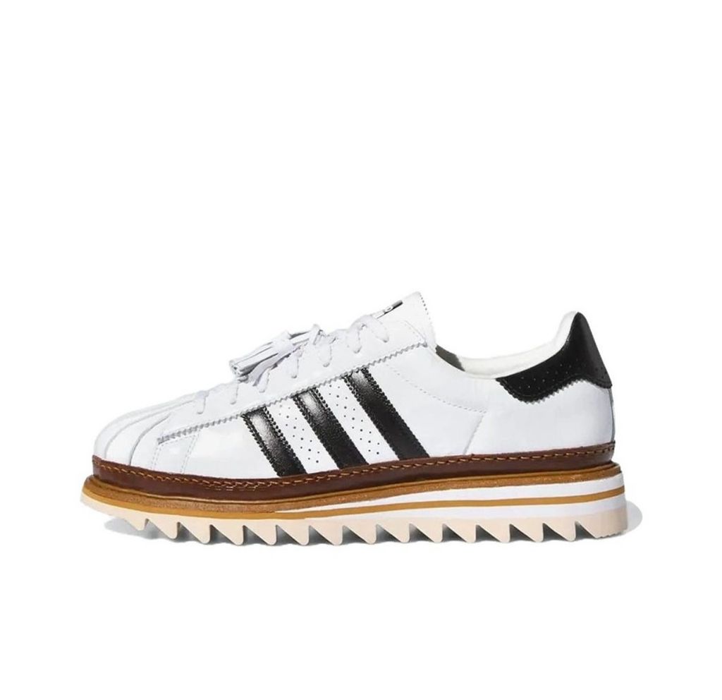 IMG_2488-1708565052295