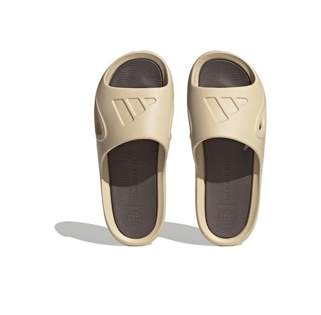 IMG_3381-1712452569871