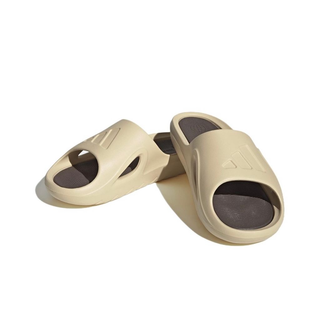 IMG_3382-1712452569883