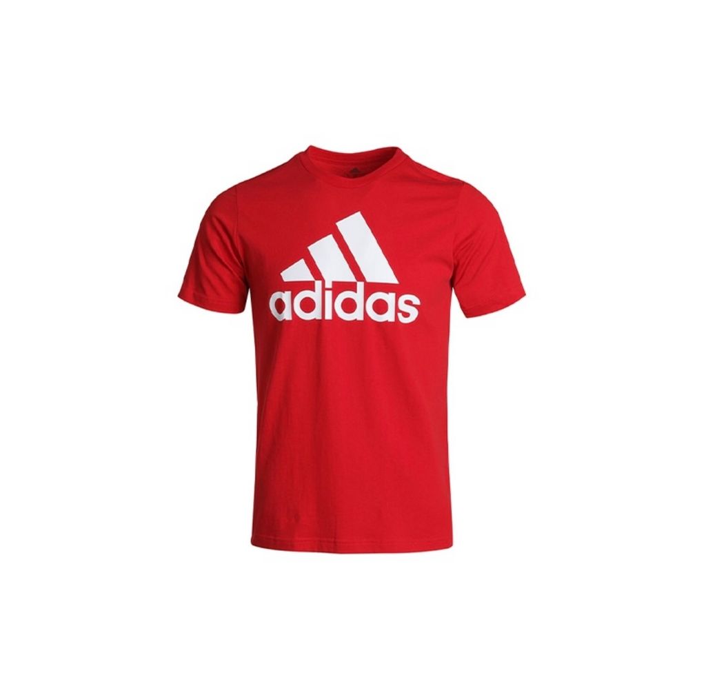 IMG_3390-1712453579001