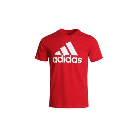 IMG_3390-1712453579001