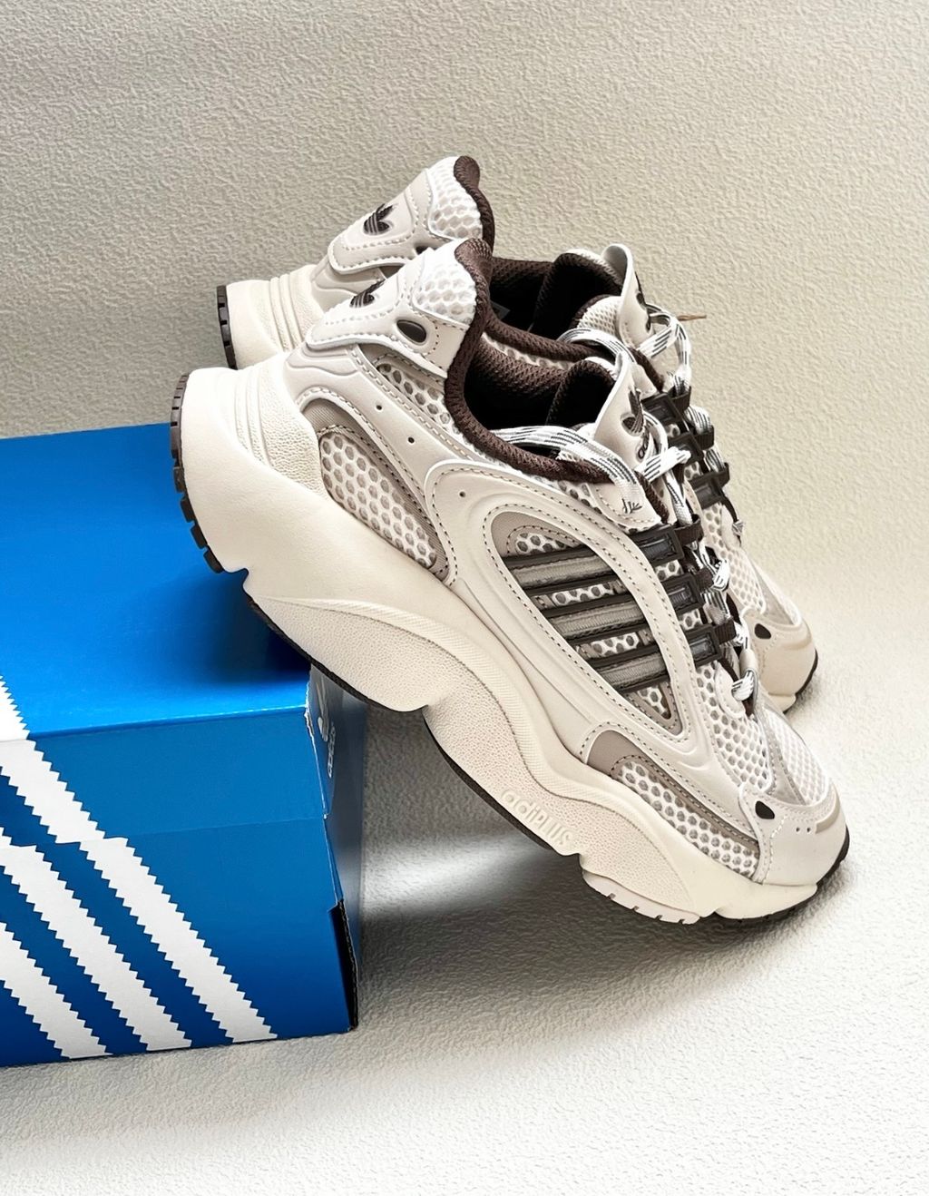 IMG_7894-1735054008055