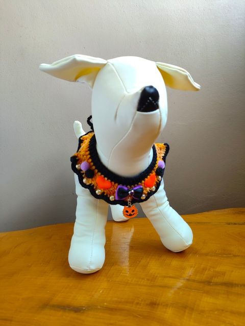 LINE_ALBUM_231024_3_0