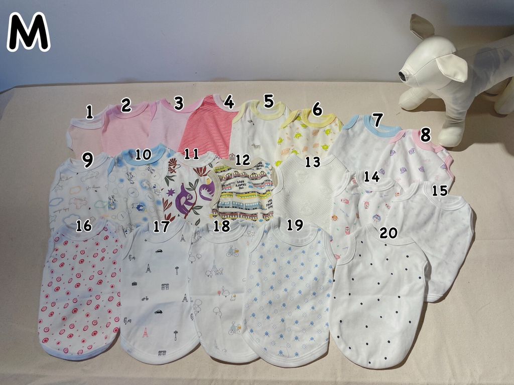 LINE_ALBUM_背心_231028_5