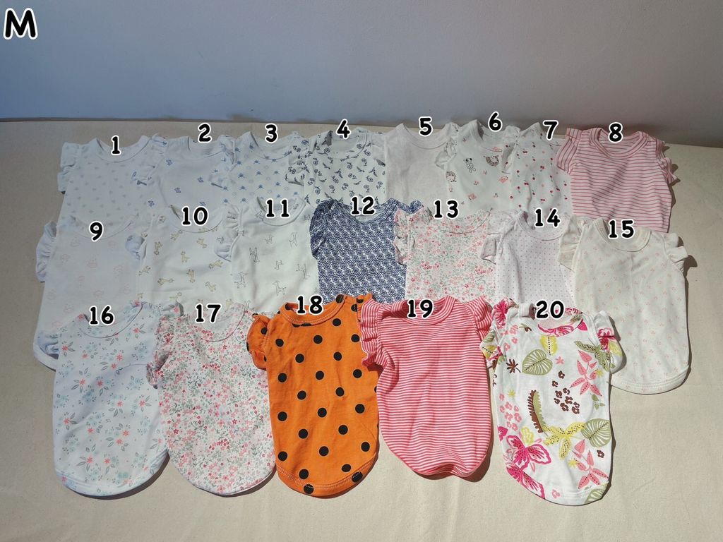 LINE_ALBUM_波浪袖_231028_4