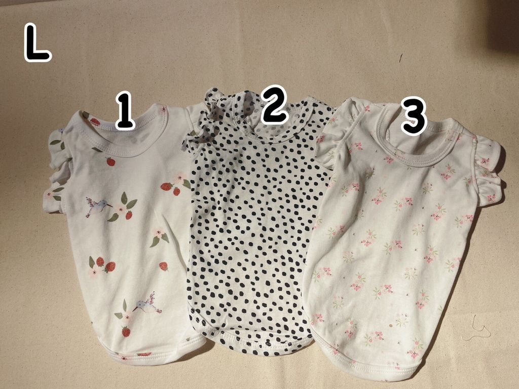 LINE_ALBUM_波浪袖_231028_3